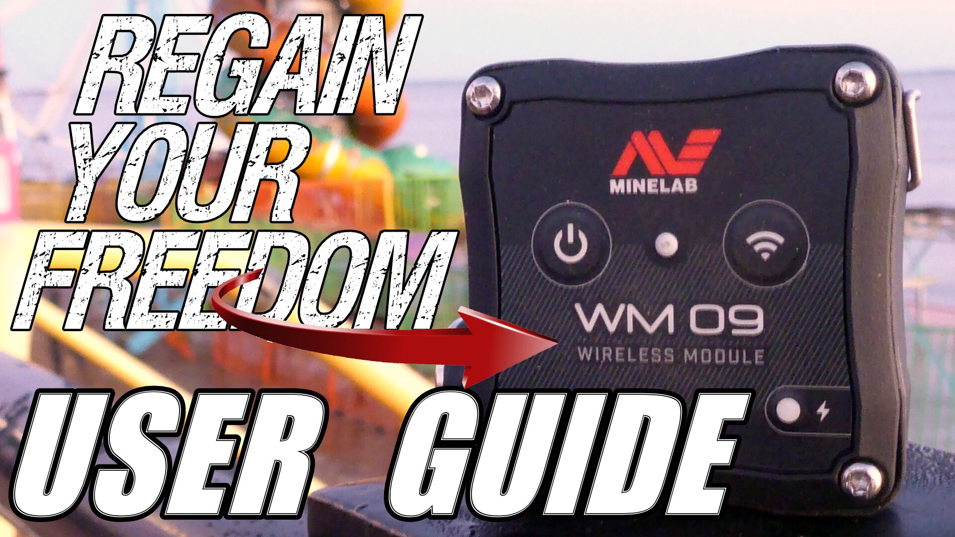minelab wm09 wireless module in the uk where to buy a minelab wireless module wm09