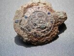 military Badge Military, beach detecting