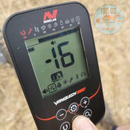 a review of the new minelab vanquish 560