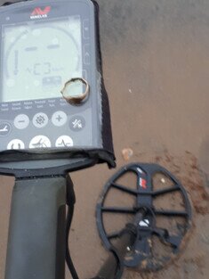 minelab 15 inch search head review