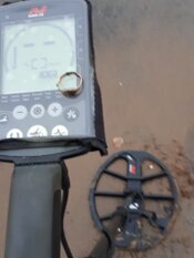 Equinox coil review minelab big equinox coil