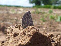 best settings to find hammered coins with a minelab equinox