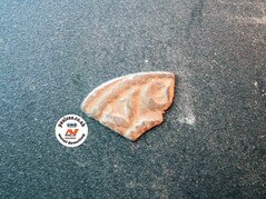 minelab equinox hammered coin uk cut quarter hammerd coin