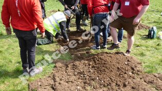 when a hoard is found metal detecting