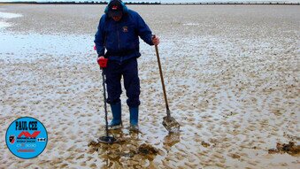 minelab vanquish beach vanquish 540 beach metal detecting