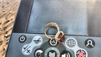 metal detecting on the beach in england the best metal detector for finding gold