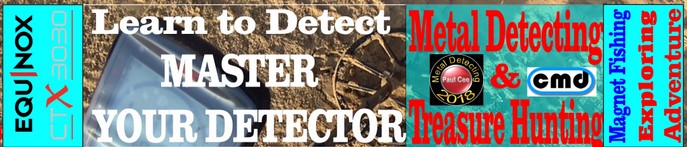 minelab beach detector